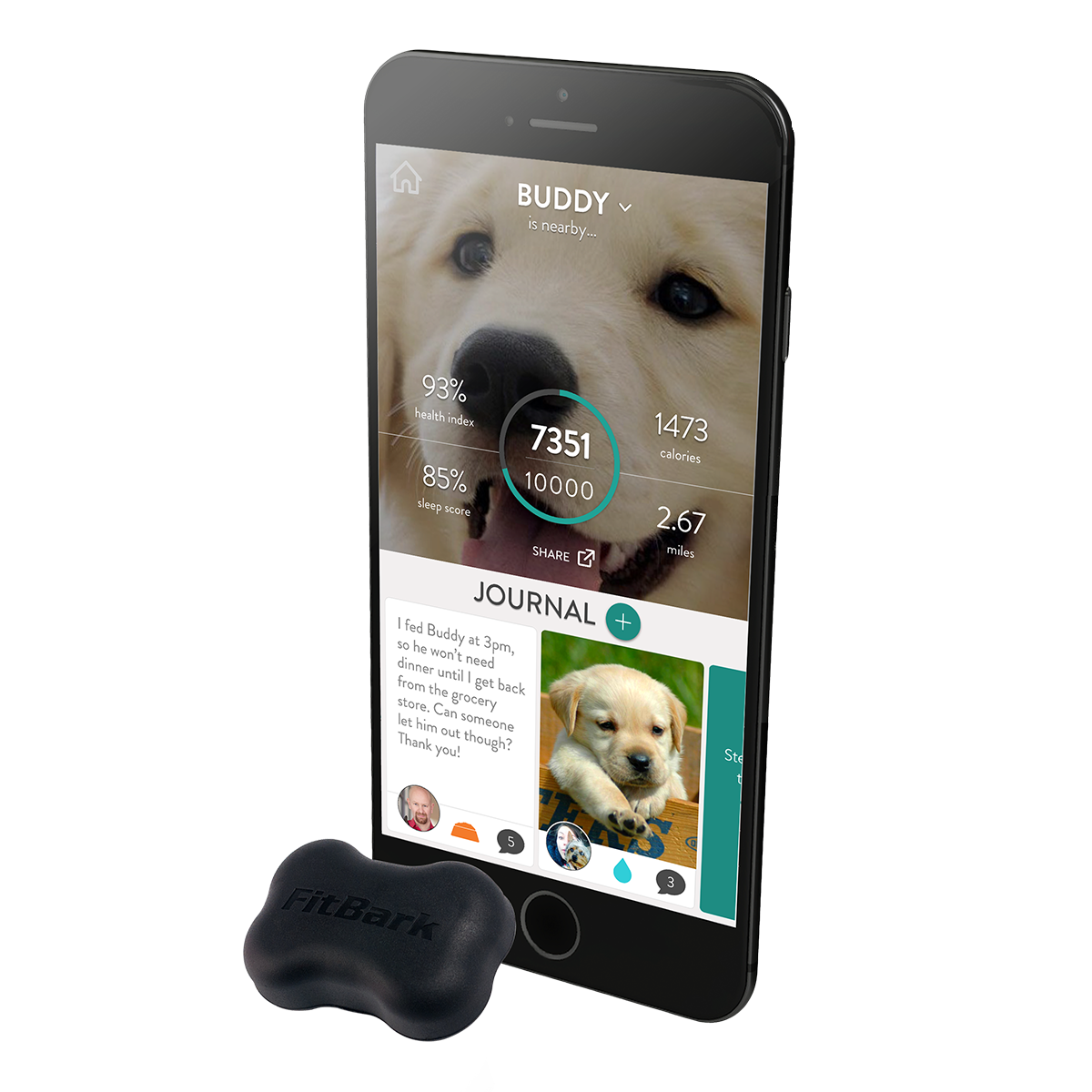 愛犬の健康管理に!犬用ウェアラブル端末「FitBark」
